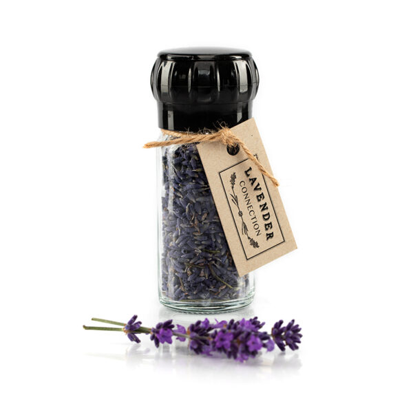 Culinary Lavender bud in glass jar with grinder lid