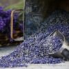 Dried culinary lavender buds spilling out of a container, edible Royal Velvet lavender from Sequim Washington