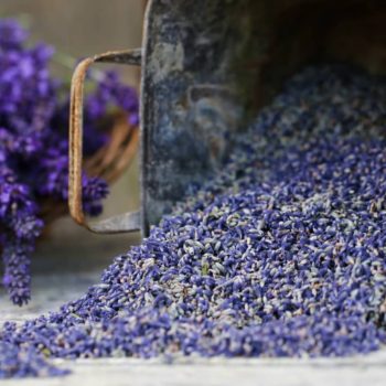 Lavender Bud - Bulk