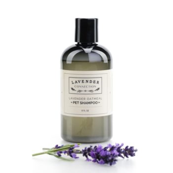 Lavender Pet Shampoo