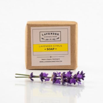 Soap - Lavender Citrus