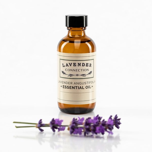 Lavender Essential Oil lavandula angustifolia