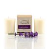Lavender Connection Lavender Soy Candle, 2 fl oz, in a kraft box
