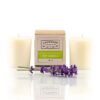 Lavender Connection 2 fl oz hand poured Lavender, White Tea & Ginger Soy Candle in kraft box