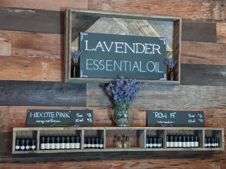 rustic store, barnwood panel wall, lavender essential oil sign and display