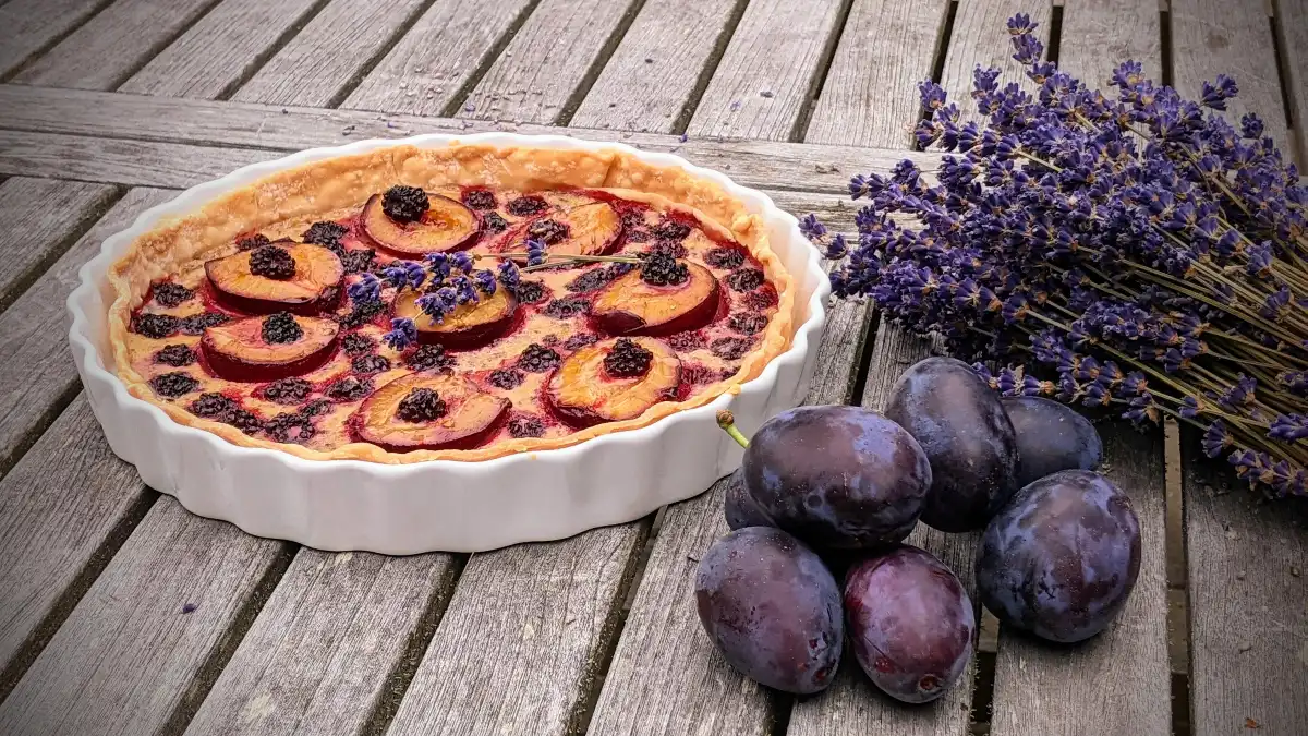 Lavender Blackberry Italian Plum Tart finished in white ceramic tart dish, Italian plums in foreground, dried lavender in the background