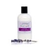 Lavender Connection Lavender Body Lotion in a clear bottle with black cap, and white lotion