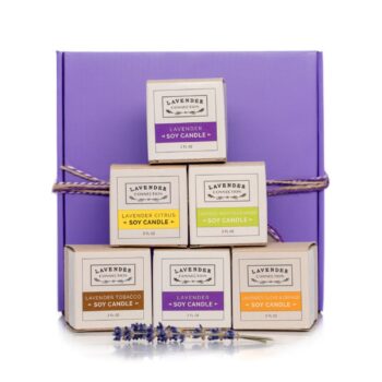 Lavender Connection lavender soy candle gift box with six 2 fl oz votive candles in assorted Signature Scents